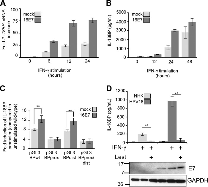 FIG 3