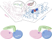 Graphical Abstract