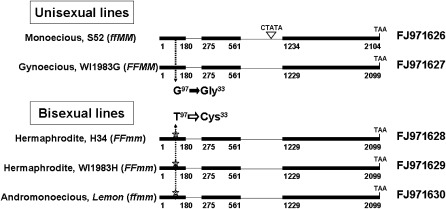 Figure 2.—