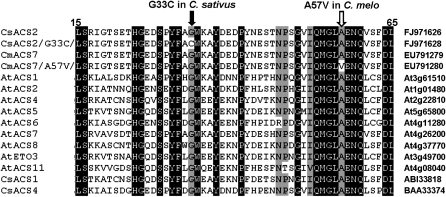 Figure 3.—