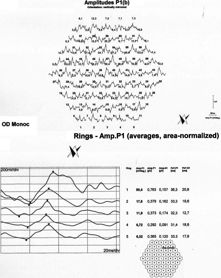 Fig. 6