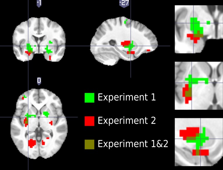 Figure 5—figure supplement 2.