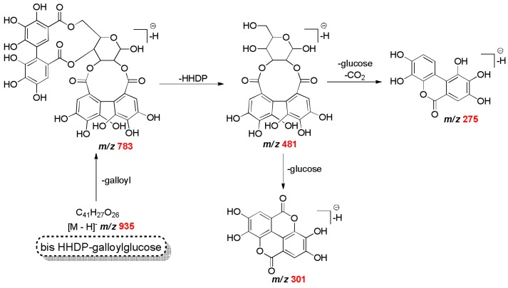 Scheme 2