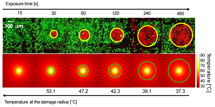 Fig. 6.