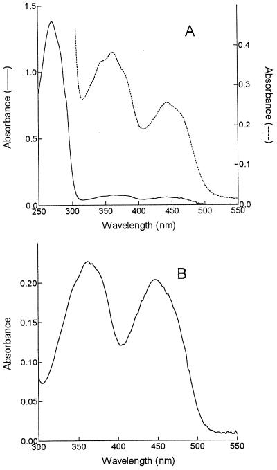 FIG. 3