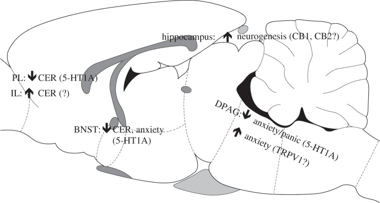 Figure 1.