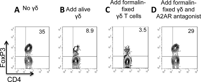 Fig 7