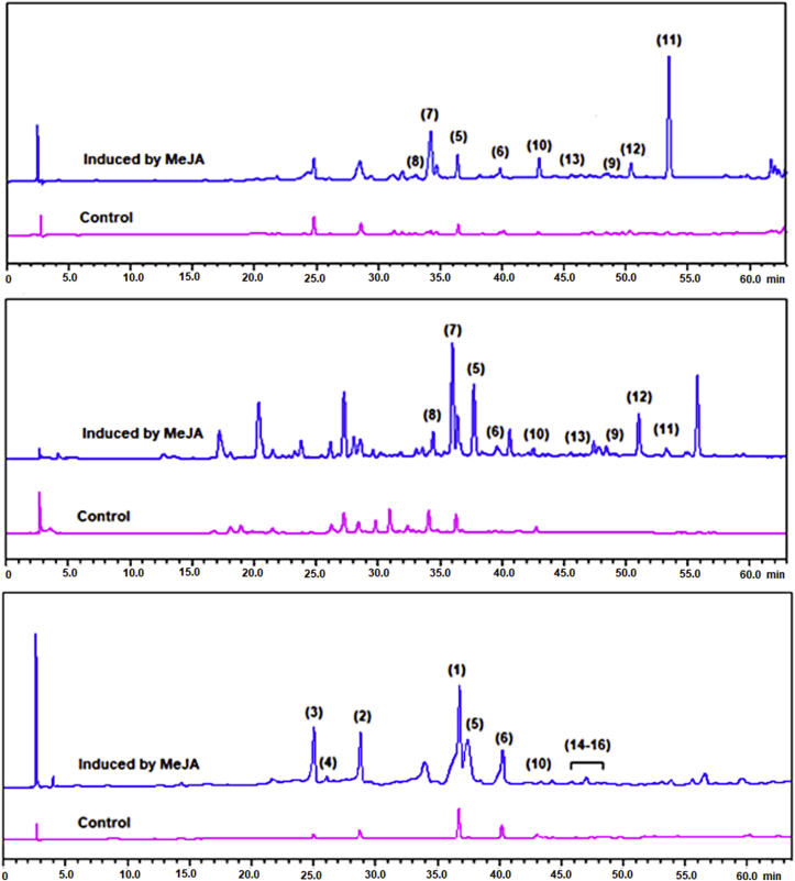 Figure 3