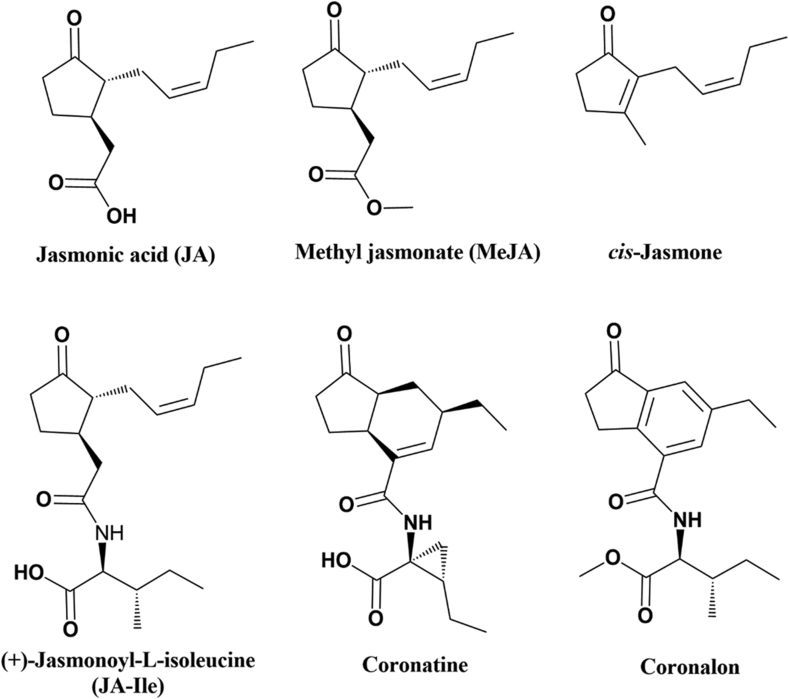 Figure 1