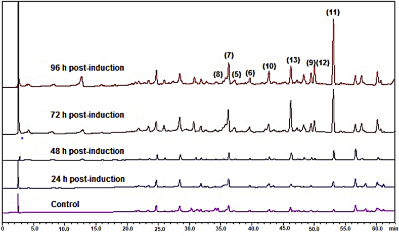 Figure 7