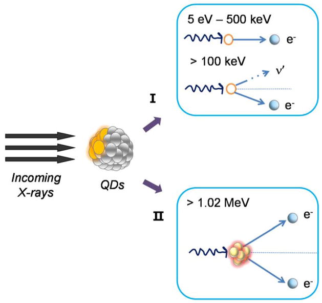 Scheme 5