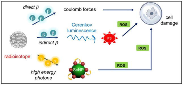 Scheme 6