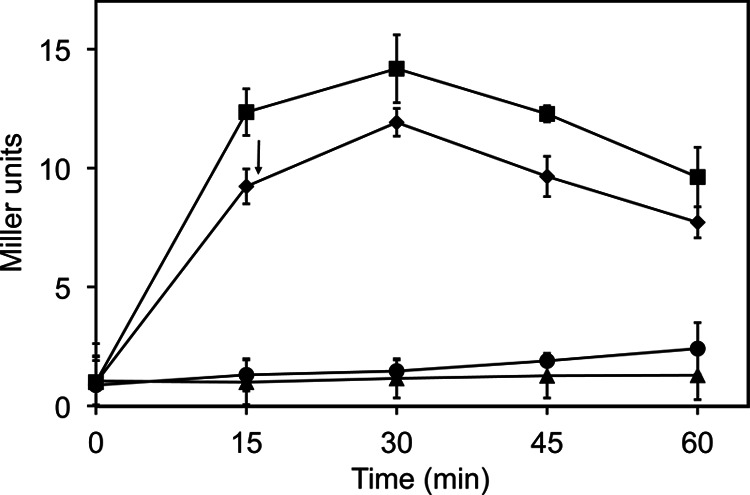 Fig 5