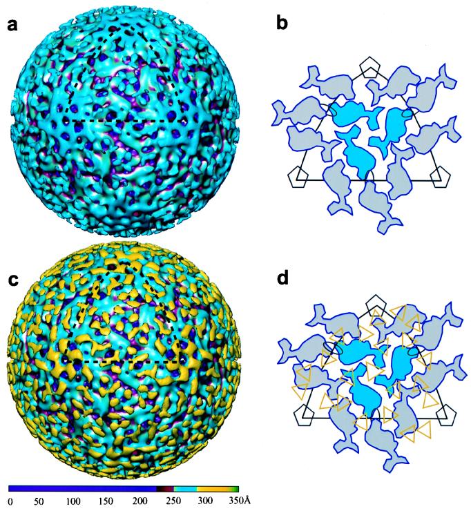FIG. 7