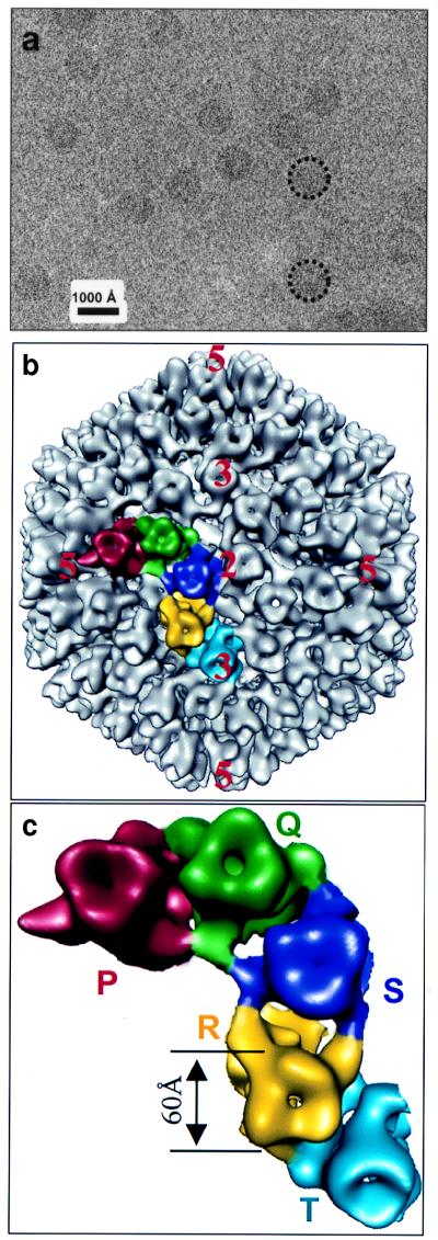 FIG. 1