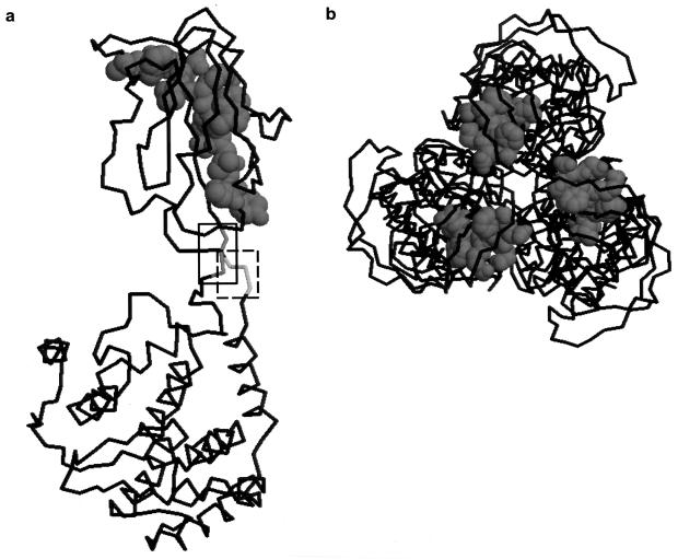 FIG. 6