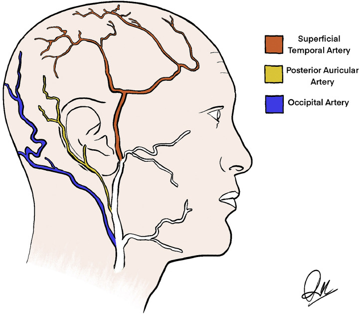 Figure 5: