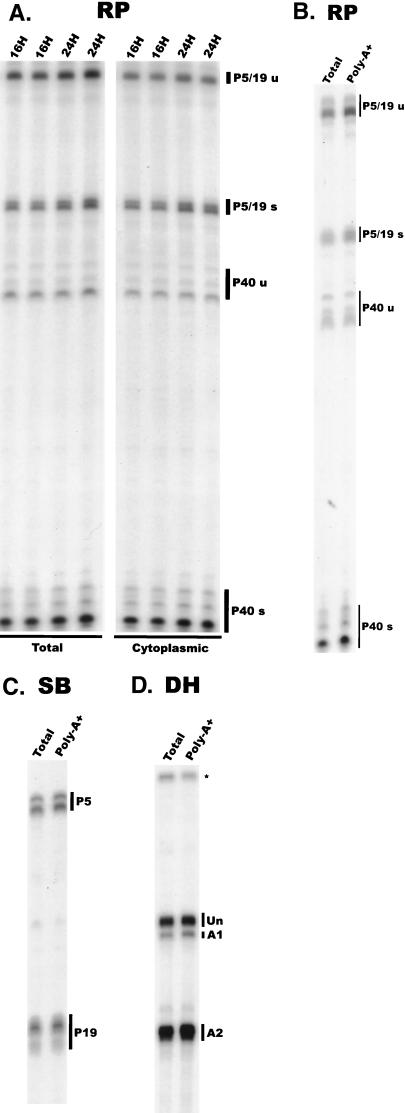 FIG. 5