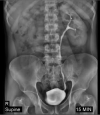 Fig 1