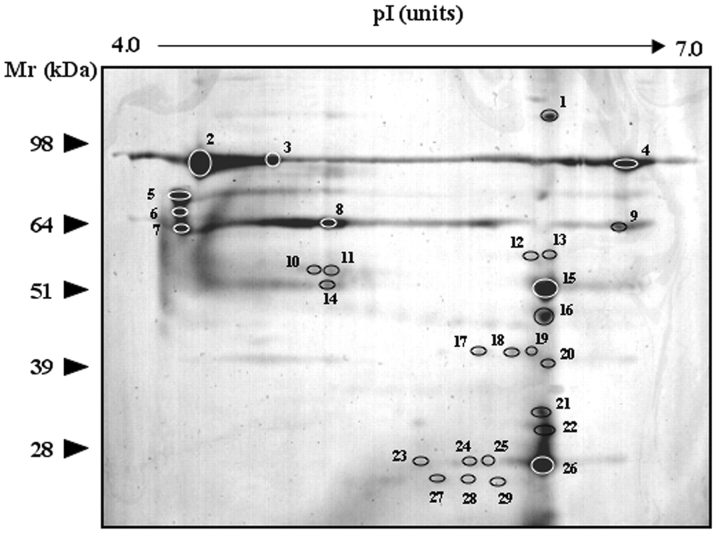 FIGURE 1