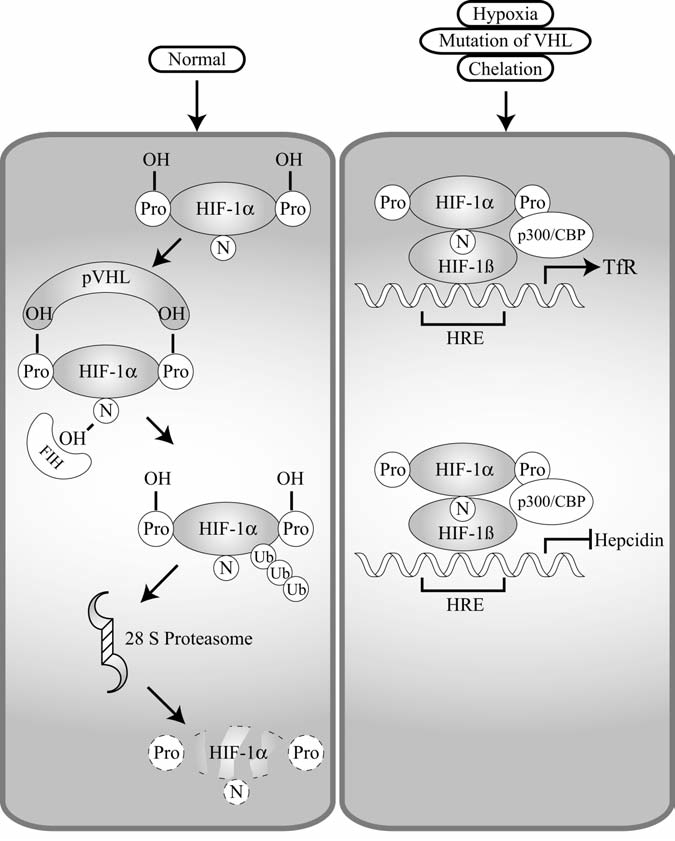 FIG. 7.