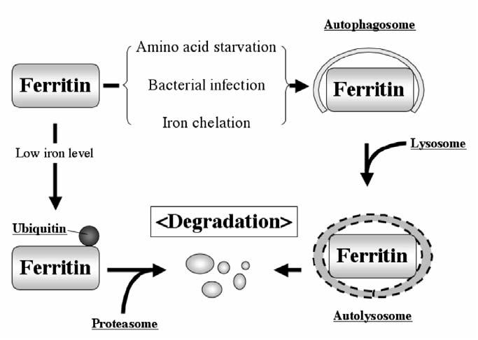 FIG. 9