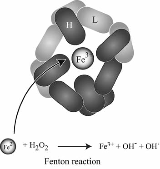 FIG. 8