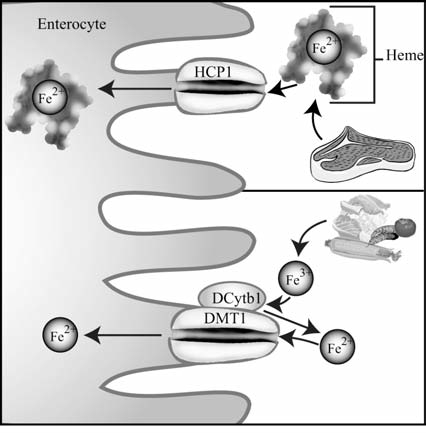 FIG. 3