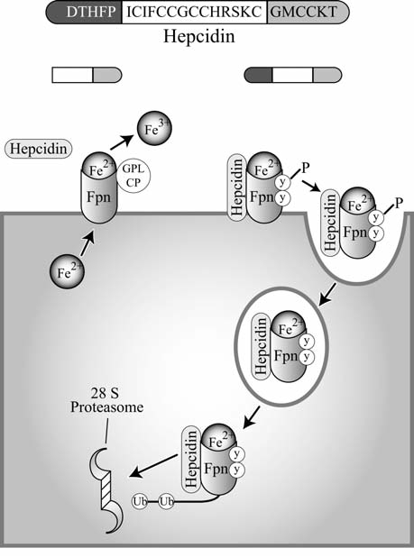 FIG. 6