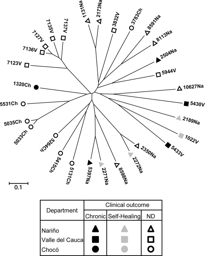 FIG 3