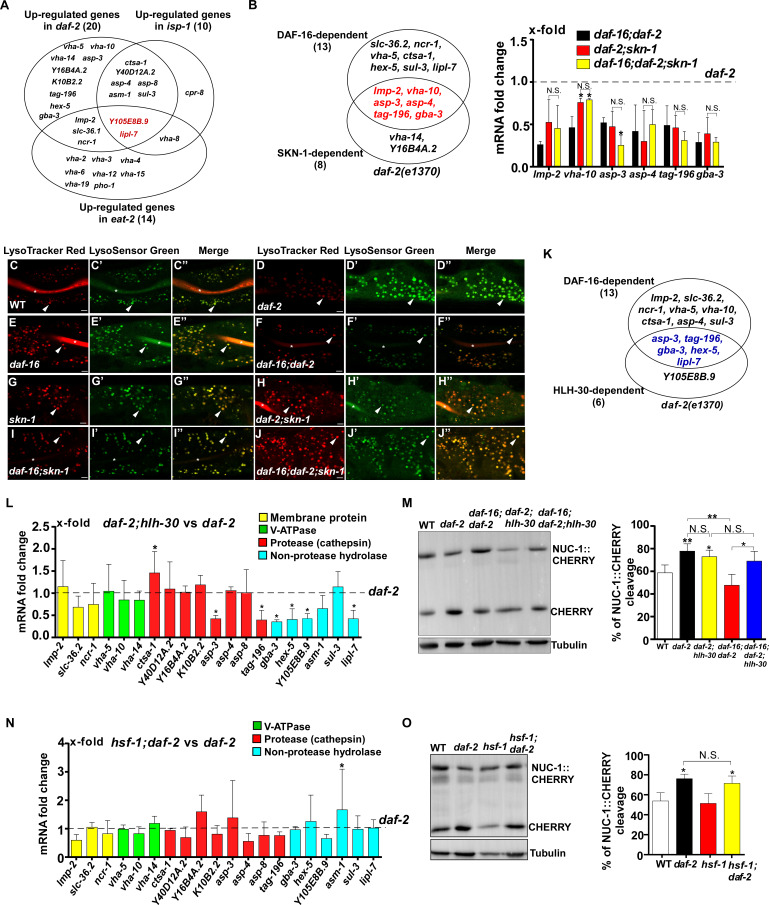 Figure 6—figure supplement 1.