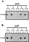 FIG. 4