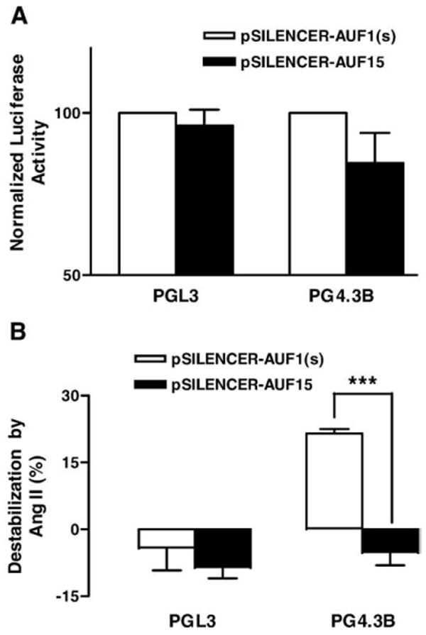 AUF1 is upregulated by angiotensin II to destabilize cardiac Kv4.3 ...