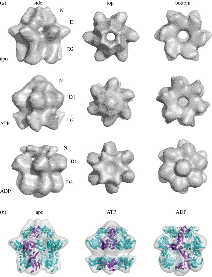 Figure 2.