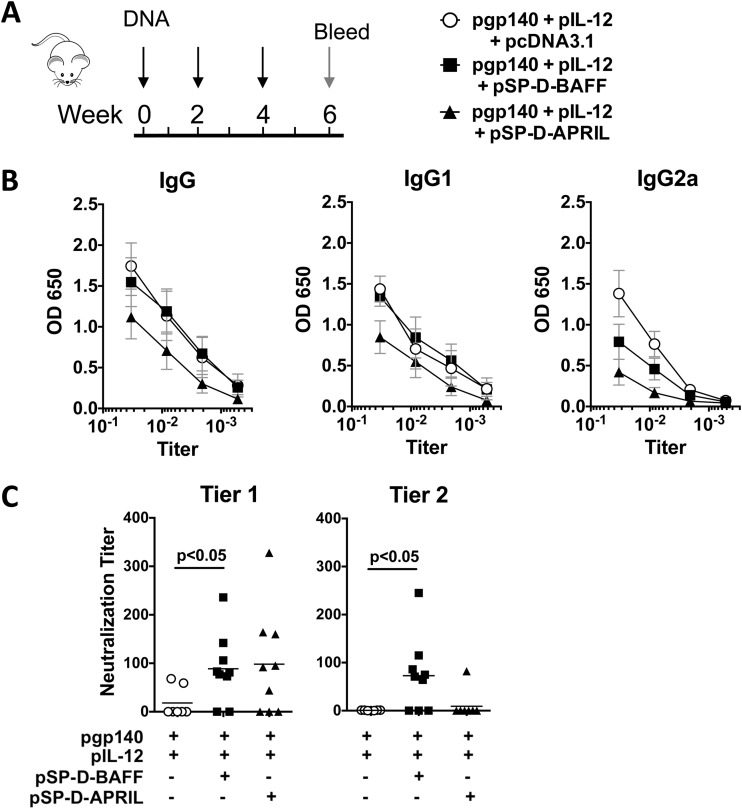 FIG 2