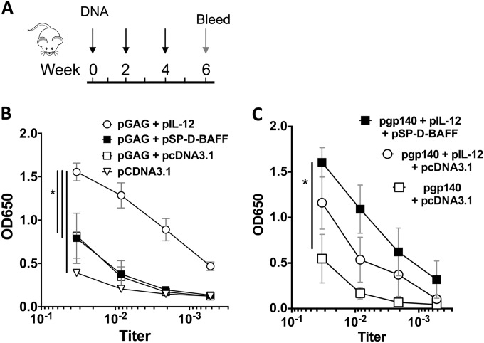 FIG 1