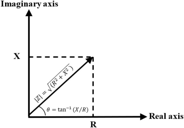 Fig.1