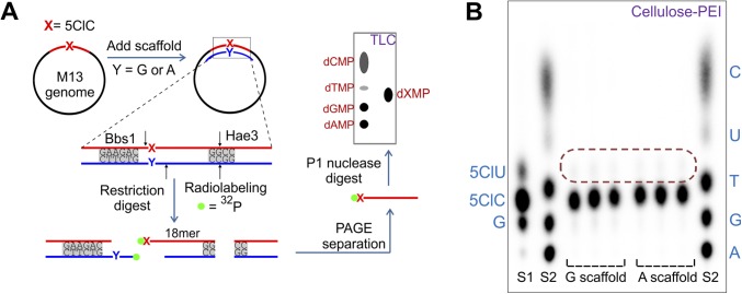 Fig. S4.