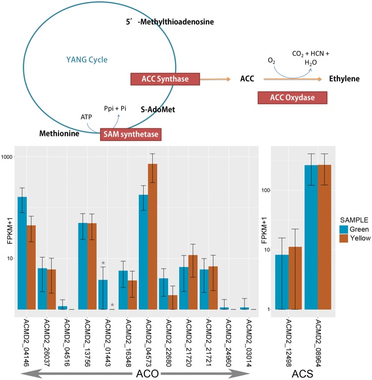 Figure 6.