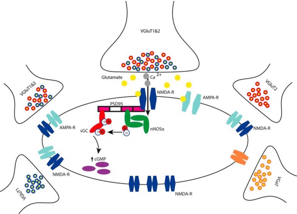 Figure 6.