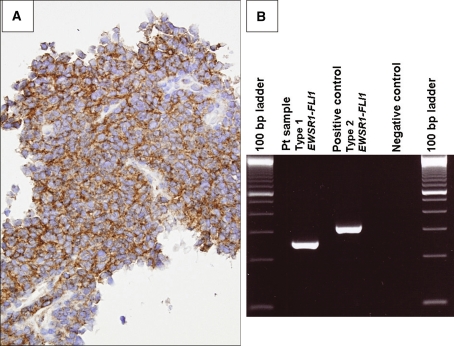 Fig. 4