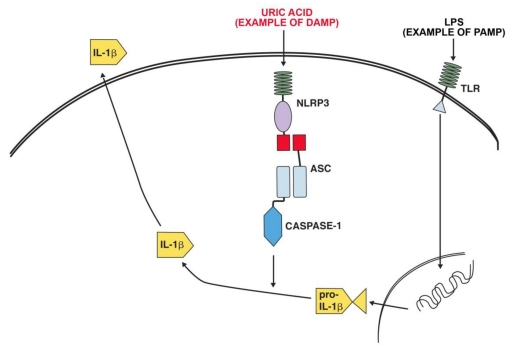 Fig 1