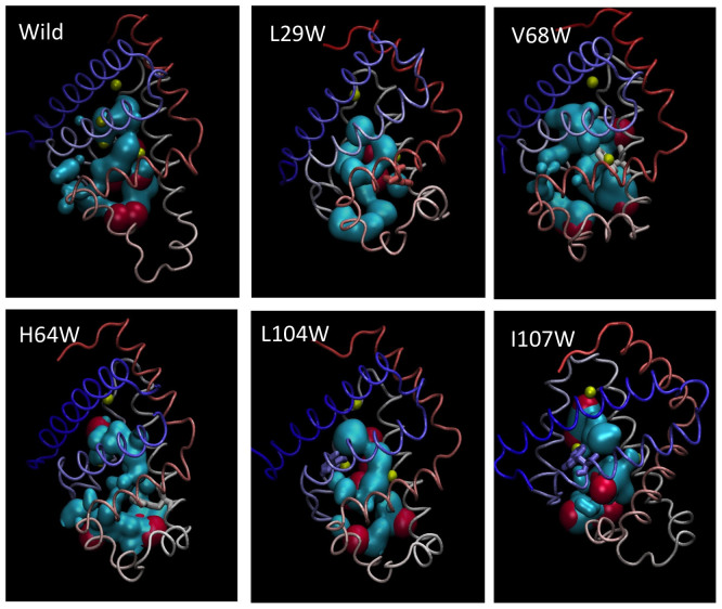 Figure 11