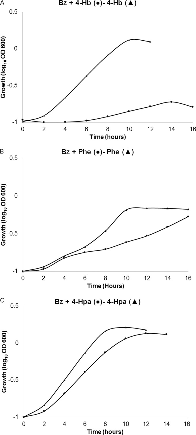 FIG 5