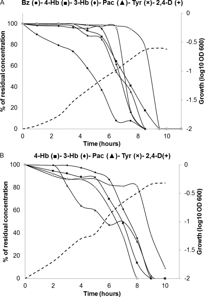 FIG 6