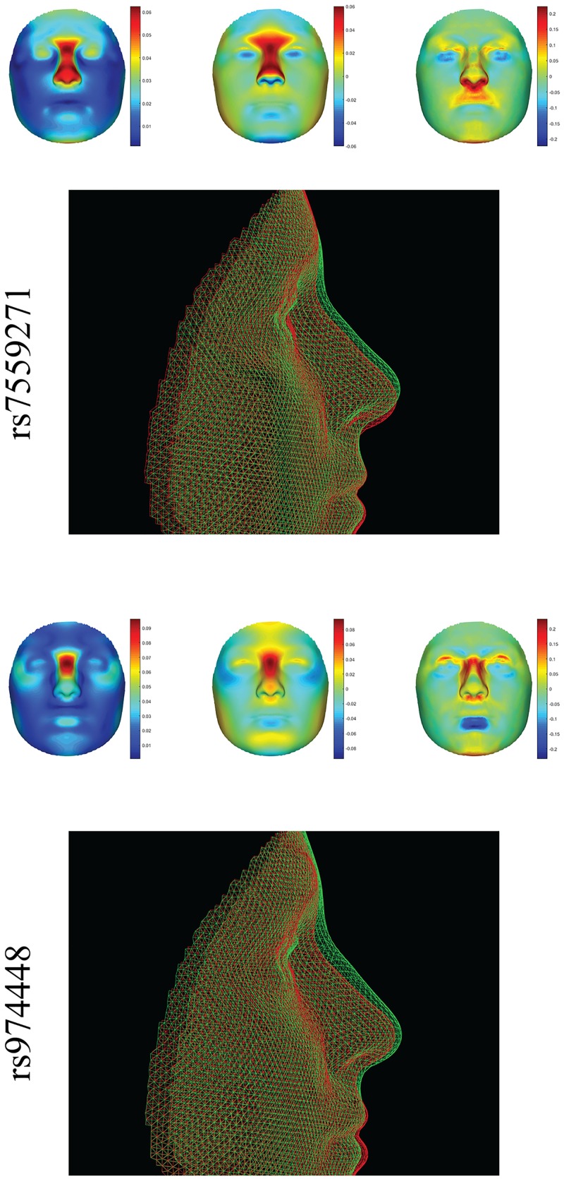 Fig 1