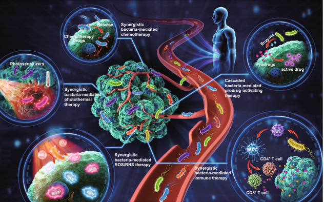 graphic file with name 40820_2020_560_Figa_HTML.jpg