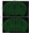 Extended Data Figure 6