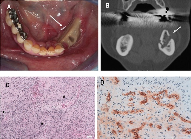 Figure 3