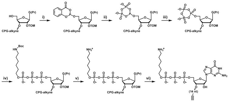 Scheme 1